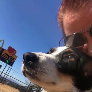 Meet your Posher, Rachel